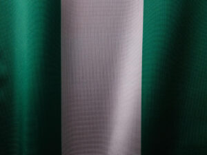 Read more about the article Job Market Trends in Nigeria: What You Need to Know